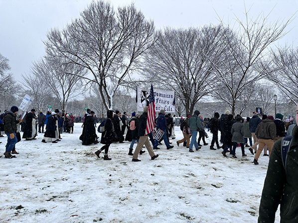 %_tempFileNameMFL_2024_115%