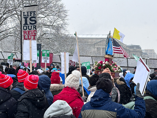 %_tempFileNameMFL_2024_134%