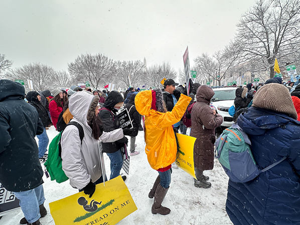 %_tempFileNameMFL_2024_137%