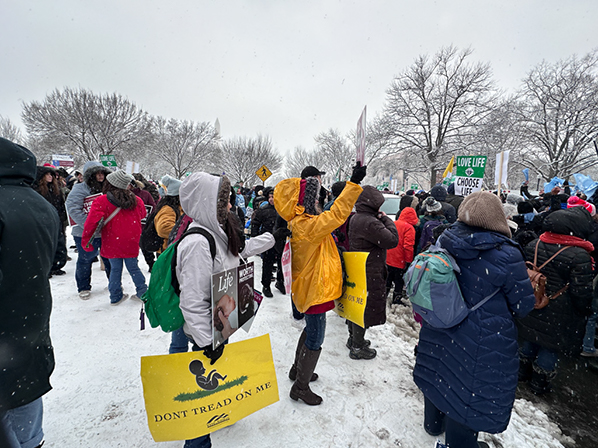 %_tempFileNameMFL_2024_138%