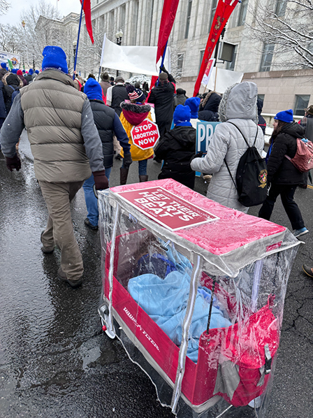 %_tempFileNameMFL_2024_199%