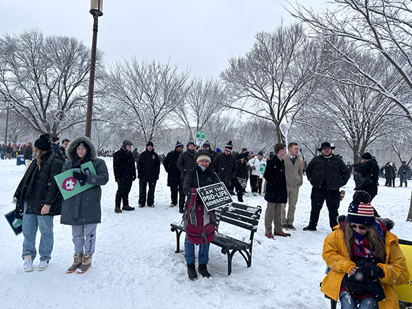 %_tempFileNameMFL_2024_74%